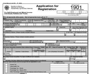 BIR tin number application form 1901